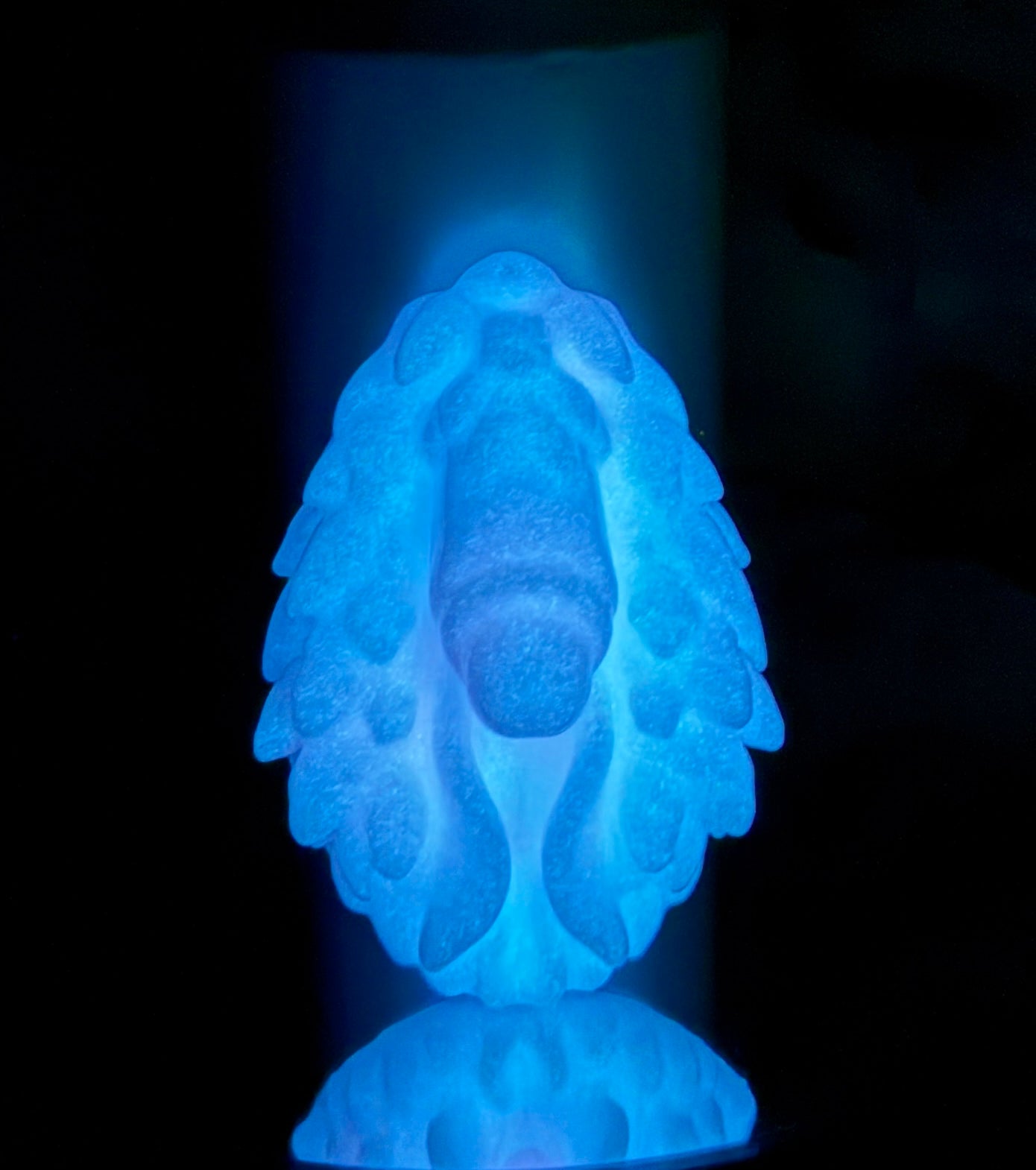 Ocypete Small - Pastel Cotton Candy + Glow - Firmness Medium 0050